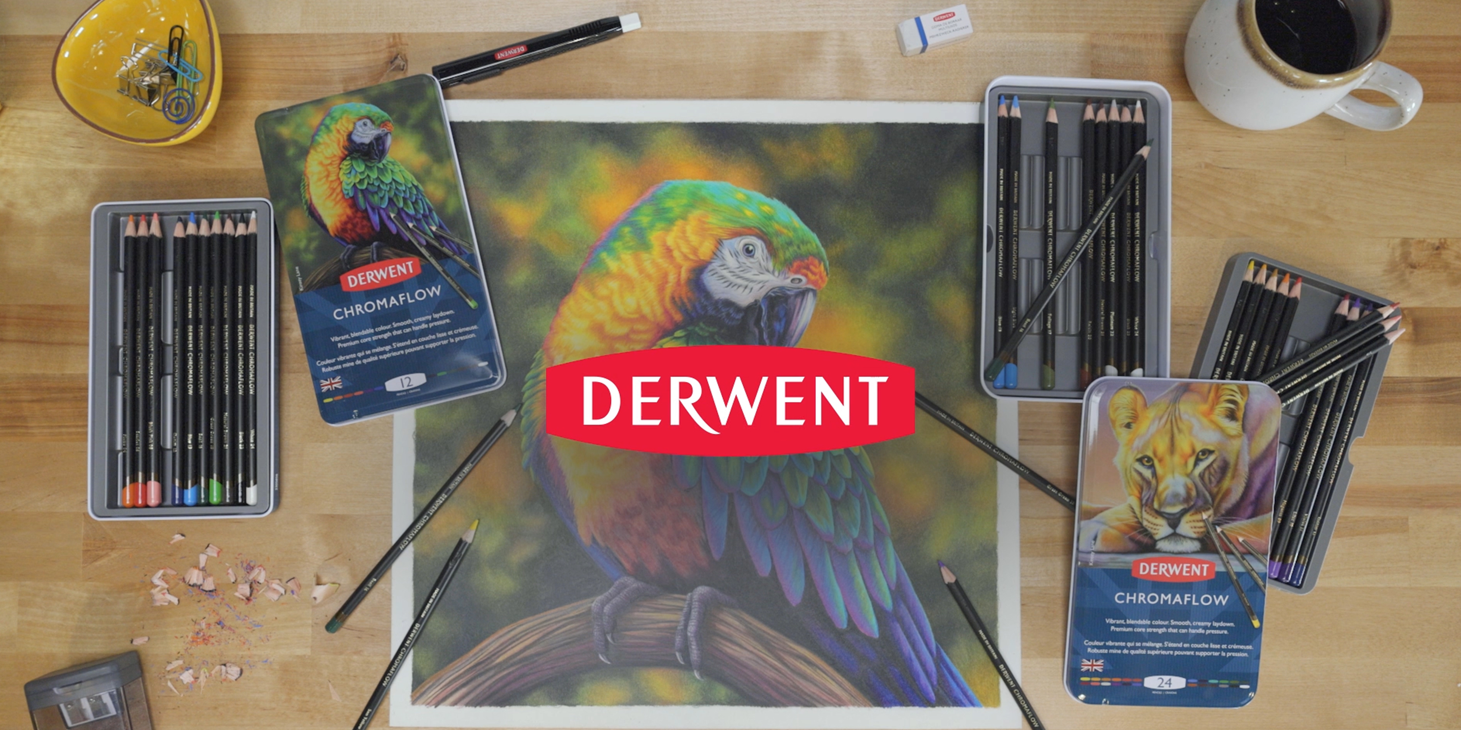 Master Every Stroke with Derwent